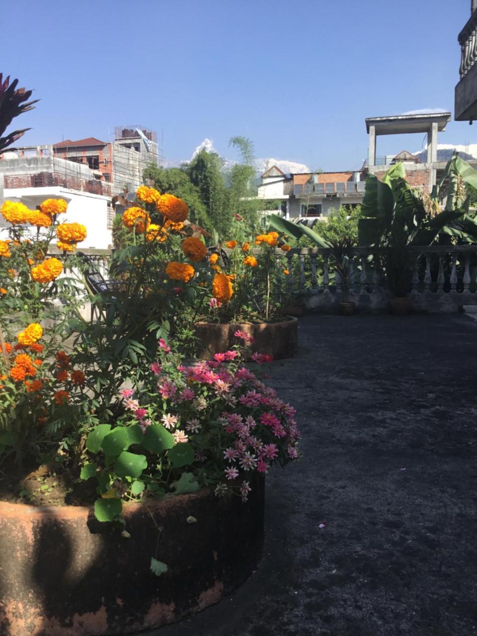 Sacred Valley Inn Pokhara Ngoại thất bức ảnh
